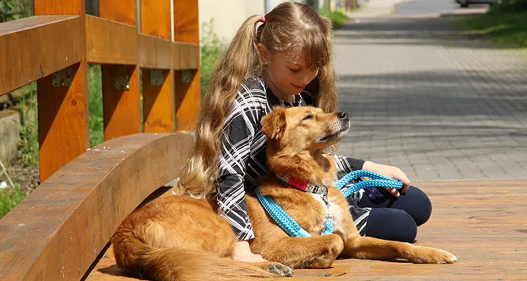 Lächelndes Mädchen mit Hund, der eine Identifikationsmarke am Halsband trägt.
