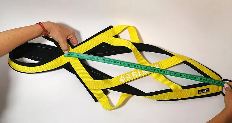 Ein gut sitzendes Zuggeschirr dient als Vorlage für die Maßanfertigung eines neuen Geschirrs.