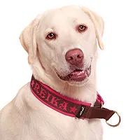 HALSBÄNDER Softshell