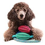 Hundespielzeug