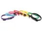 Preview: eRPaki Hundehalsband Welpenhalsband