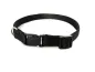 Preview: eRPaki BASIC Hundehalsband Klick 10mm