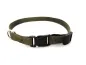 Preview: eRPaki BASIC Hundehalsband Klick 10mm