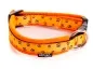 Preview: Hundehalsband mit Steckschnalle und Pflötchen Design orange