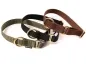 Preview: eRPaki Halsband geschlossen 20 mm - Welpenhalsband
