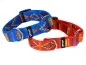 Preview: eRPaki Hundehalsband geschlossen 25mm OP