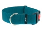 Preview: breites Hundehalsband mit Sicherheitsverschluss robustes Gurtband petrol