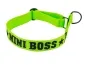 Preview: Hundehalsband mit Zugstopp lindgrün mit Wunschtext Mini Boss
