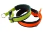 Preview: eRPaki Hundehalsband Zugstop 20mm MP