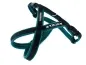 Preview: eRPaki Tourengeschirr Double-Klick 20mm - bestickt Preview: eRPaki Tourengeschirr Double-Klick 20mm - bestickt