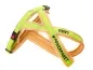 Preview: eRPaki Tourengeschirr Double-Klick 25mm - bestickt Preview: eRPaki Tourengeschirr Double-Klick 25mm - bestickt