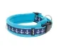 Preview: Hundehalsband Langhaar mit Borte Anker blau