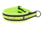 Preview: Hundehalsband mit Zugstopp verziert mit Bienen Borte und unterlegt mit weichem Fleece