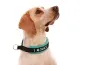 Preview: Zug Stopp Hundehalsband mit Namen weich Fleece Pointer