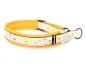 Preview: Hundehalsband Zugstopp Borte Webband Frühling