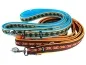 Preview: hochwertige breite verstellbare Hundeleine für große Hunde in Farbe beige und braun mit zwei Karabinerhaken gepolstert mit Softshell und verziert mit Borte Ethno