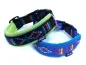 Preview: eRPaki PRO Hundehalsband Klick 25mm - Reflektor