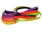 Preview: eRPaki PRO Agility-Leine mit Bestickung 25mm