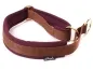 Preview: eRPaki PRO Hundehalsband Zugstop 20mm
