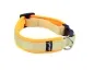 Preview: Hundehalsband beige mit Klickverschluss gepolstert mit Softshell hellorange