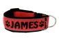 Preview: breites Hundehalsband mit Namen, Klickverschluss, Edelstahlring und Reflektorband in Gurtbandfarbe rot gepolstert mit Softshell schwarz