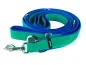 Preview: robuste breite verstellbare Hundeleine mit zwei Karabinerhaken und mehreren Ringen grün gepolstert mit weichem Softshell royalblau