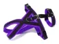 Preview: eRPaki PRO Tourengeschirr mit Sicherheitsgurt 20mm Preview: eRPaki PRO Tourengeschirr mit Sicherheitsgurt 20mm
