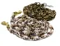 Preview: eRPaki ROPE Hundeleine 12mm - verstellbar