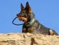 Preview: eRPaki ROPE TPR Stick "Wave" ein Griff Preview: eRPaki ROPE TPR Stick "Wave" ein Griff