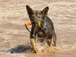 Preview: eRPaki ROPE TPR Stick "Wave" ein Griff Preview: eRPaki ROPE TPR Stick "Wave" ein Griff