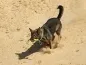 Preview: eRPaki ROPE TPR Stick "Wave" zwei Griffe Preview: eRPaki ROPE TPR Stick "Wave" zwei Griffe