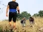 Preview: eRPaki PRO Jogginggurt Laufgurt CANICROSS