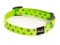 Preview: eRPaki BASIC Borte Halsband Klick 15mm Preview: eRPaki BASIC Borte Halsband Klick 15mm