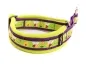 Preview: eRPaki® FLEECE Borte Hundehalsband Zugstopp 25mm