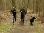 Preview: eRPaki PRO Jogginggurt Trekkinggurt mit Tasche RUN & HIKE Preview: eRPaki PRO Jogginggurt Trekkinggurt mit Tasche RUN & HIKE
