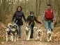 Preview: eRPaki PRO Laufgurt Trekkinggurt mit Handytasche DOGTREKKING Preview: eRPaki PRO Laufgurt Trekkinggurt mit Handytasche DOGTREKKING