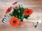 Preview: Gartenharke personalisiert mit Wunschgravur