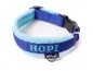 Preview: Hundehalsband blau mit Namen und Klickverschluss Fleece Polsterung hellblau