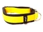 Preview: eRPaki PRO Hundehalsband Klick 25mm