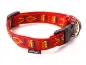 Preview: eRPaki BASIC Hundehalsband Langhaar 20mm rot indianer