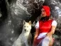 Preview: Fotoshooting Hund ON LOCATION
