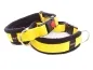 Preview: Hundehalsbänder gelb mit Klickverschluss gepolstert mit Fleece braun und schwarz