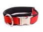 Preview: Hundehalsband rot mit Metall-Klickverschluss gepolstert mit Fleece schwarz