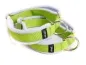 Preview: Sport Hundehalsbänder ohne Zugstopp mit Messing Ringen in lindgrün gepolstert mit weichem Fleece weiß