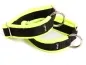 Preview: Hundehalsband geschlossen ohne Zugstopp und Verschluss in Farbe schwarz neongelb