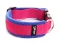 Preview: Hundehalsband pink mit Klickverschluss gepolstert mit Fleece blau