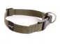 Preview: eRPaki BASIC Hundehalsband Langhaar 20mm oliv