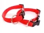 Preview: eRPaki BASIC Hundehalsband Langhaar 20mm rot