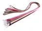 Preview: eRPaki Hundeleine 15 x 120 braun, pink, beige, schwarz