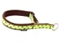 Preview: Hundehalsband Zugstopp Borte Webband Pfötchen